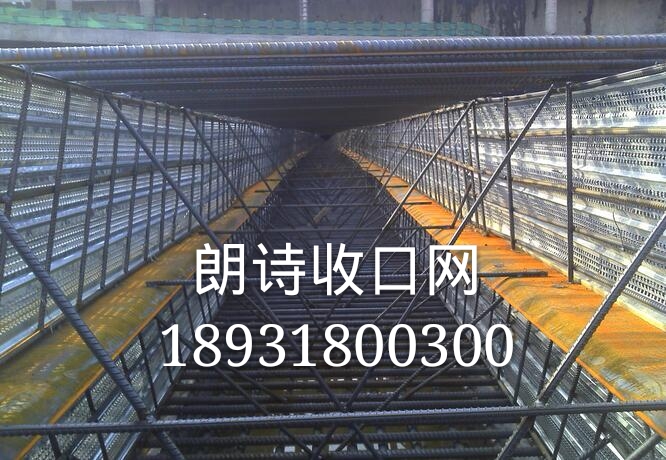 37251521295441.jpg